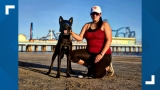 Temple woman can’t fly home with her service dog due to CDC rule