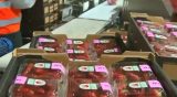 Hepatitis A linked to strawberries? US FDA and CDC investigating cause