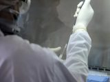 US Scientists Develop Nipah Virus Vax That Can Save Lives In Just 3 Days University Of Texas Zoonotic Virus World Health Organisation