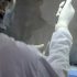 Omicron sub-variant makes up 23.1% of COVID variants in U.S. – CDC