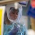 Wild poliovirus type 1 (WPV1) – Mozambique