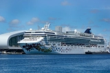 Cruise lines say they will follow CDC coronavirus guidelines