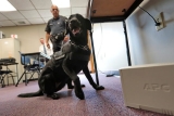 Wayne County reported 1,971 additional COVID-19 cases this week