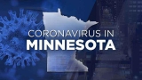 Minnesota fall 2022 COVID hospitalization and death predictions