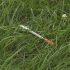 COVID-19 drug remdesivir may prolong hospital stay, researchers claim