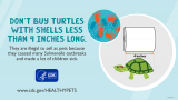 Salmonella outbreak connected to pet turtles