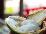 Here are 5 reasons why you should eat coconut malai this summer