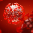 Has Covid turned endemic?, Health News, ET HealthWorld