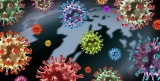 The Present and Future of COVID Variants