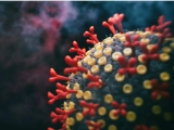 Coronavirus: Reports claim emergence of COVID Deltacron cases in UK; here’s what you need to know about it