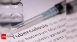 covid: COVID-19 led to a spike in Tuberculosis cases in India: Experts