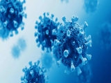 Coronavirus: “Summer slows down COVID spread”, this and other myths busted as COVID cases rise