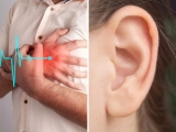 Warning sign of heart attack that could appear in your ear; know what the condition is called!
