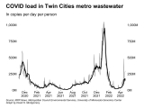 COVID 19 in MN: Hospitalizations increase