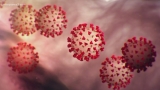 COVID-19 cases up in six Triad counties