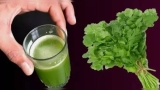 Thyroid control and weight loss benefits of coriander seeds and leaves; how to make dhaniya tea, cilantro water