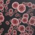 CDC Warns That a Brand of Eyedrops May Be Linked to Drug-Resistant Bacterial Infections – NBC 7 San Diego