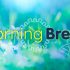 Experts rue simple steps not taken before latest COVID surge | Health