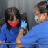COVID: Trained dogs can sniff out virus, study says