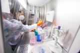 As NYC rolls out monkeypox vaccinations, CDC works to expand access