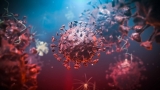 Maine CDC investigating outbreak of gastrointestinal illnesses at Ellsworth camping resort – WGME