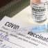 US COVID spike: ‘More pain and suffering’ ahead, says Fauci | Coronavirus pandemic News