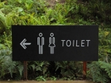 Health News | World Toilet Day 2022: All You Need to Know About This Day!