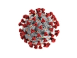 Health News | New Research Adds to Understanding of Genetic Factors That Naturally Protect People from COVID-19