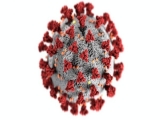 Health News | New Gadget Identifies COVID-19 Antibodies in Five Minutes