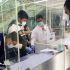 Hetero wins WHO Prequalification for generic version of Pfizer COVID drug Paxlovid