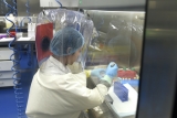 Documents Provide New Evidence U.S. Funded Gain-of-Function Research