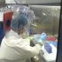 Salmonella Outbreak Has Left 279 Ill, 26 Hospitalized In 29 States