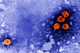 CDC investigates hepatitis outbreak in children, cause unknown