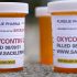 WHO calls for equitable health services for all