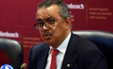 COVID pandemic’s ‘acute phase’ could end by midyear: WHO | World Health Organization News