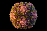 CDC urges polio vaccination