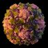 Initiative to Stop HIV’s Spread Gains Post-Pandemic ‘Reset’
