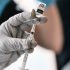 Trial seeks to develop first Lyme disease vaccine in 2 decades
