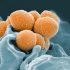 Shanghai hospital warns of ‘tragic battle’ as COVID spreads, Health News, ET HealthWorld