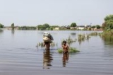 Pakistan: More than 6.4 million in ‘dire need’ after unprecedented floods |