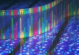 People with similar faces likely have similar DNA