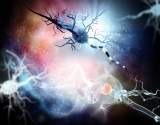 Alzheimer’s Tied To Cholesterol And Abnormal Nerve Insulation