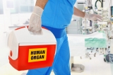 Cancer Shortens Lifespan In Transplant Recipients