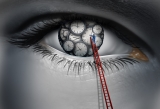 Intriguing Connection Between Diet, Eye Health, and Lifespan Uncovered