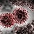 CDC says millions of Americans are missing their second vaccine dose – WNWO NBC 24