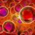 CDC recommends updated COVID-19 vaccine boosters that target the newest omicron strains. Shots to roll out soon