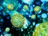 Cellular Secrets Of Aging Unlocked By Researchers