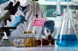 New Treatment To Combat Obesity And Heart Disease