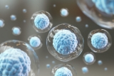 Stem Cell Gene Therapy Shows Promise In ALS Safety Trial