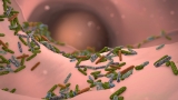 Gut Microbiome Plays A Role In Lifestyle’s Effects On Dementia Risk